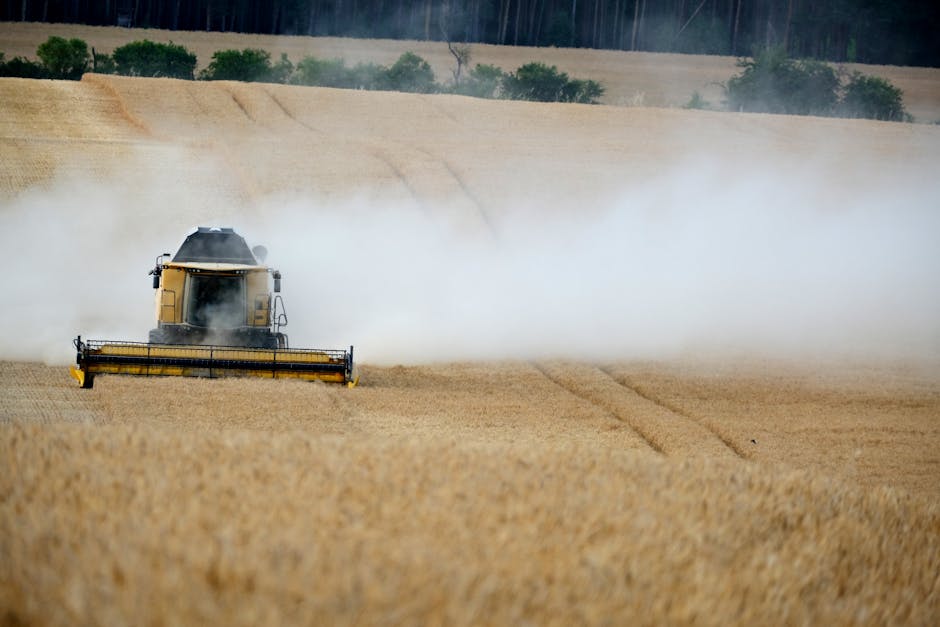 Tax-Loss Harvesting in a Volatile Market: Advanced Strategies for High-Net-Worth Investors