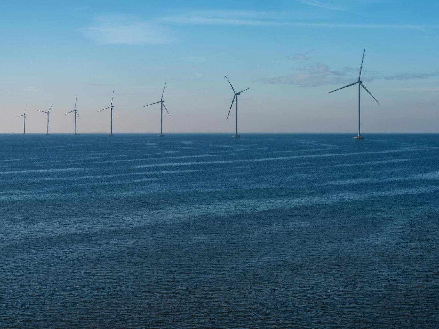 How Activist Investors Are Targeting Underperforming Climate Tech Companies Modern wind turbines generating renewable energy in open field