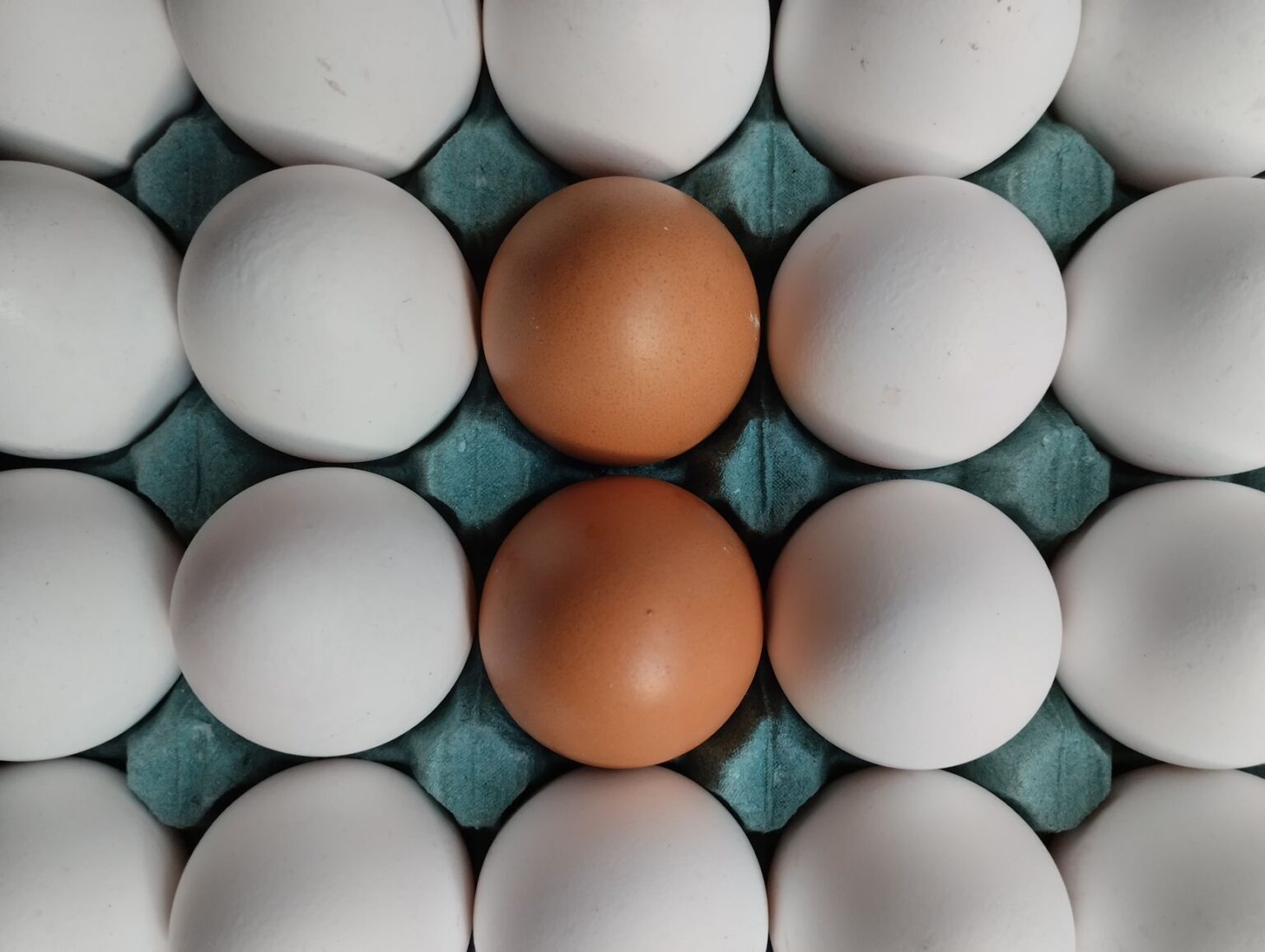 Cartons of eggs displayed on a grocery store shelf with price tags visible