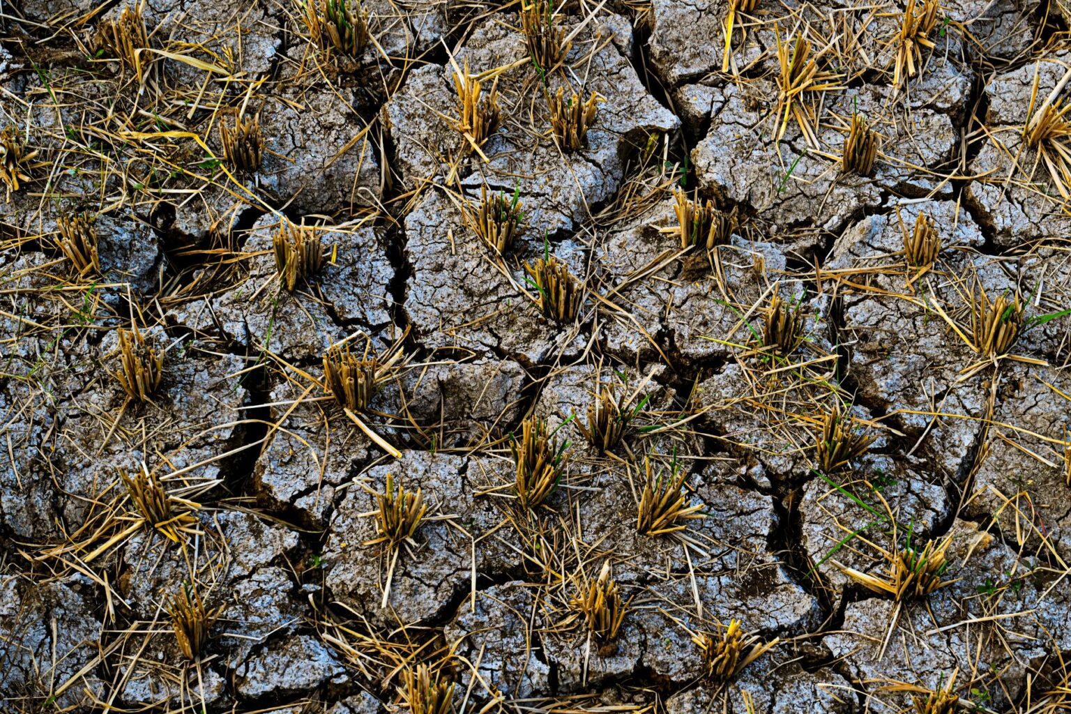 Cracked dry soil on a drought-stricken agricultural field