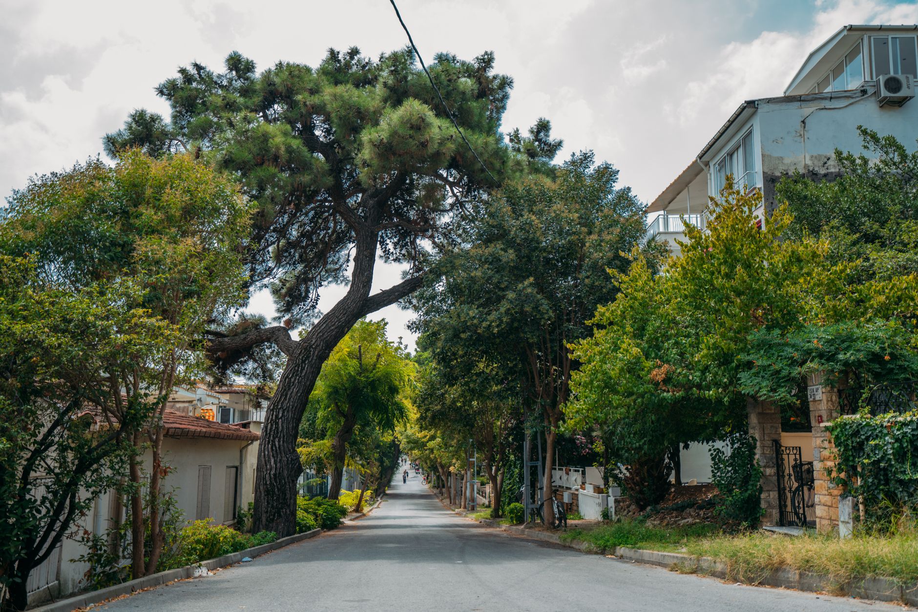 Street view of a residential neighborhood illustrating housing availability and affordability concerns