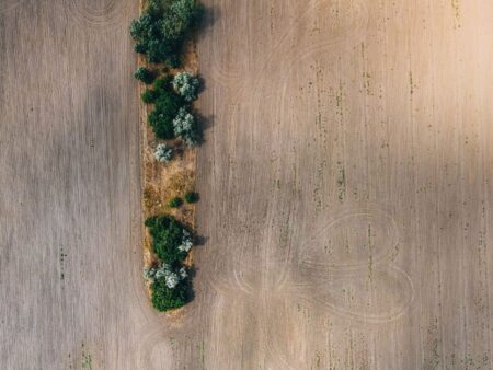 Crop Insurance Payouts Balloon as Extreme Weather Batters Farm Belt Dry cracked farmland in the American Midwest showing effects of drought on crops
