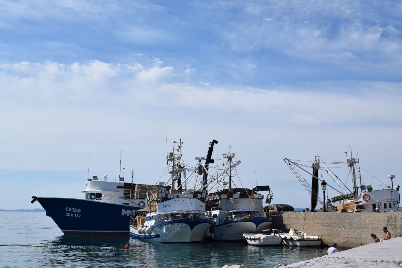Small commercial fishing vessels docked at a regional port